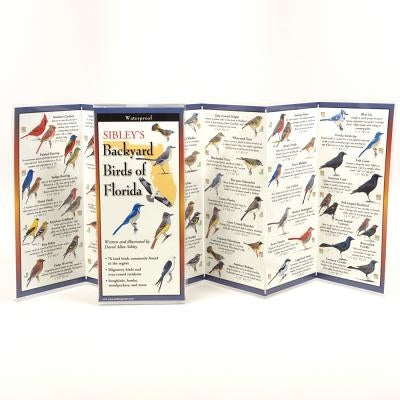 Sibley's Backyard Birds of Florida by Sibley, David