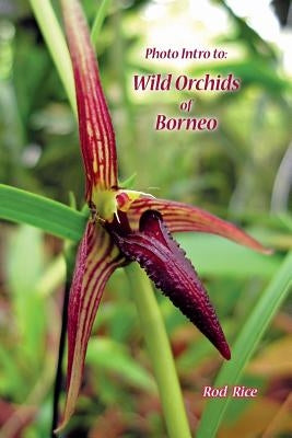 Photo Intro to: Wild Orchids of Borneo by Rice, Rod