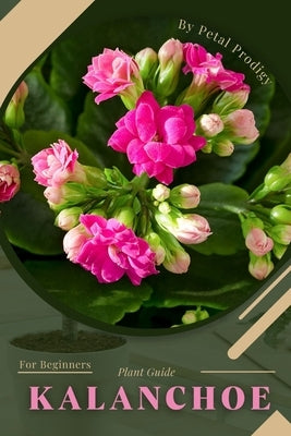 Kalanchoe: Prodigy Petal, Plant Guide by Prodigy, Petal