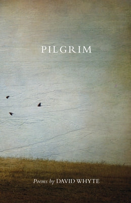 Pilgrim (Revised) (Revised) by Whyte, David