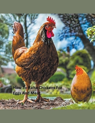 How to Raise Chickens For Eggs and Meat by Travelmagma