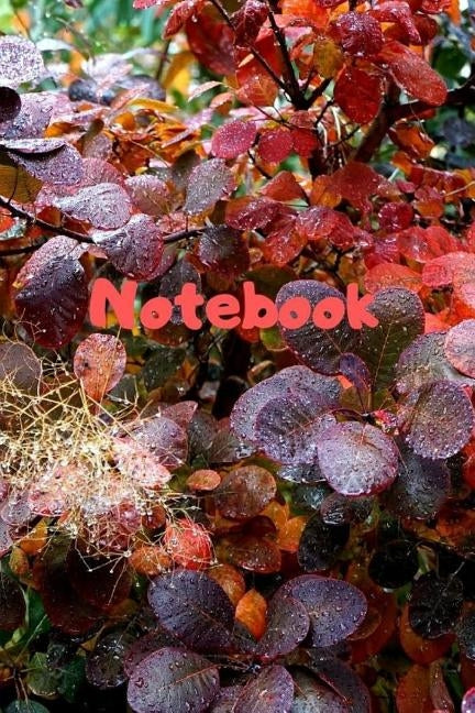 Notebook: Notebook / Diary With Colored Cover - Wide Ruled Line Paper by Notebook, Lizzy Color