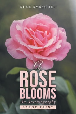 A Rose Blooms by Rybachek, Rose