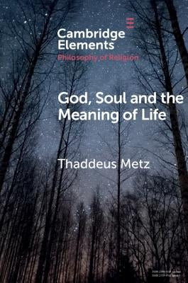God, Soul and the Meaning of Life by Metz, Thaddeus