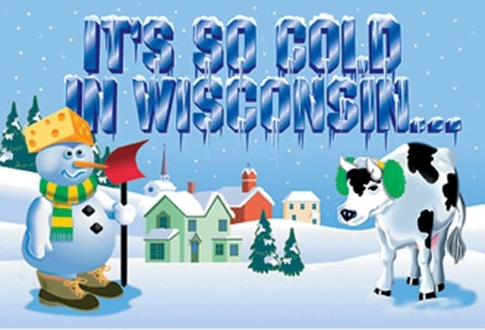 It's So Cold in Wisconsin by Blue Sky Marketing