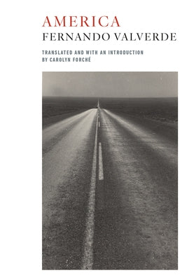 America: Bilingual Edition by Valverde, Fernando