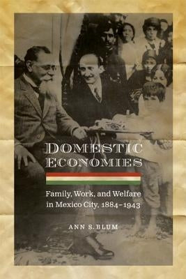 Domestic Economies: Family, Work, and Welfare in Mexico City, 1884-1943 by Blum, Ann S.